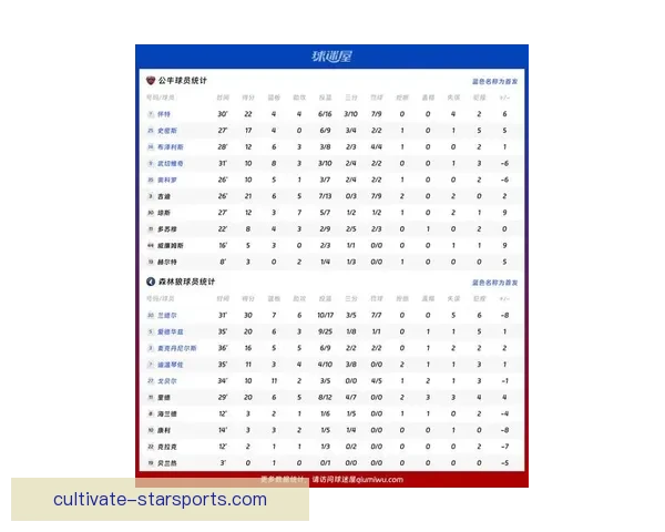 公牛队迎来新赛季挑战 球员阵容调整与未来展望分析