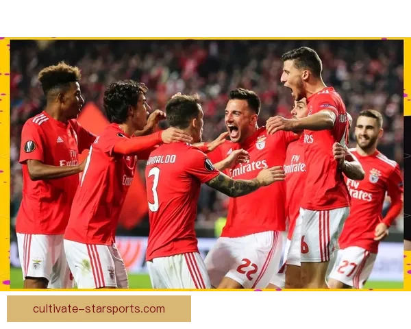 尼斯俱乐部宣布新赛季阵容调整目标 积极引援强化球队实力