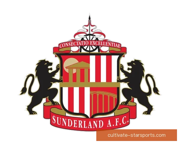 桑德兰足球俱乐部百年传承与英格兰东北足球精神新篇章再启航 桑德兰足球俱乐部百年传承与英格兰东北足球精神新篇章再启航