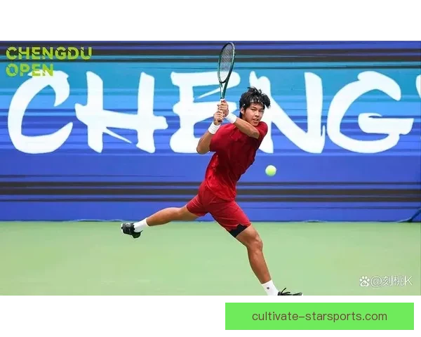 网球赛季回顾：新星崛起与老将挑战盘点