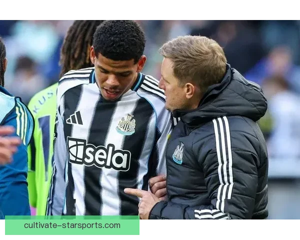 西班牙人俱乐部冬窗引援布局与保级前景全面解析最新动态及未来战略展望