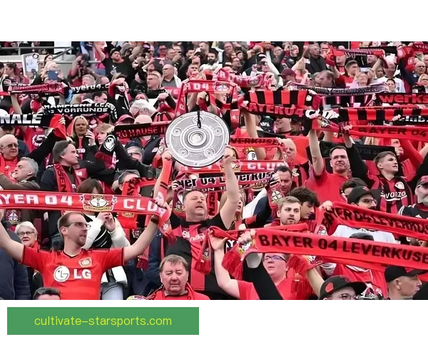 拜耳勒沃库森俱乐部历史成就与未来发展全景解析