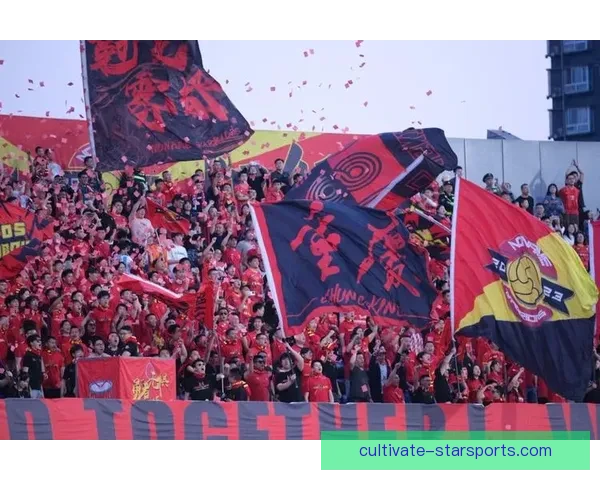 重庆足球超级联赛：推动本土足球发展与竞技水平提升的关键力量